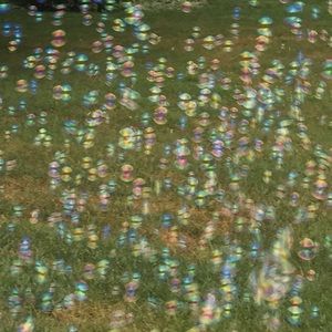 Meet your Posher, Iona